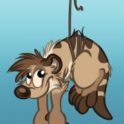 Titash : Flyin'Kat
