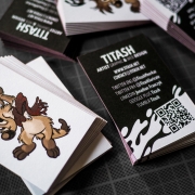 Titash : Cartes de Visite 2014