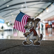 Titash Livepic 88 : Welcome to Amerikat