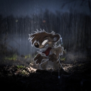 Titash Livepic 128 : Rain... my Nemesis