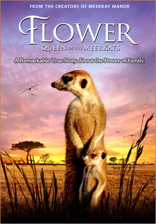 Meerkat Manor : The Story Begins