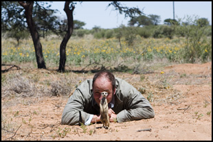 La Famille Suricate