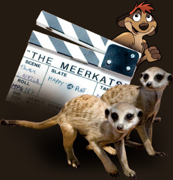 La Famille Suricate