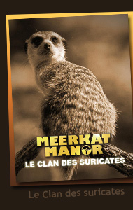 Meerkat Manor : Le Clan des Suricates